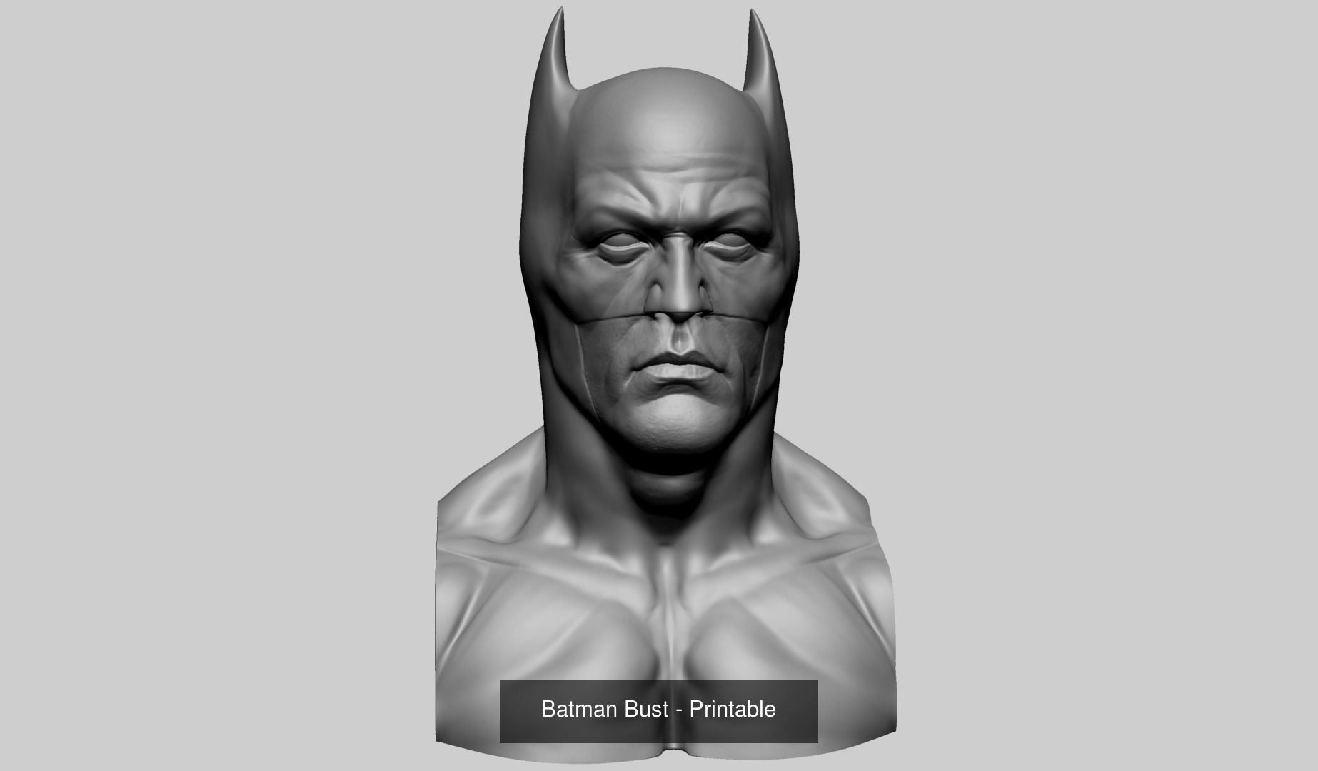 100 Printable Models 3D Model Collection_109