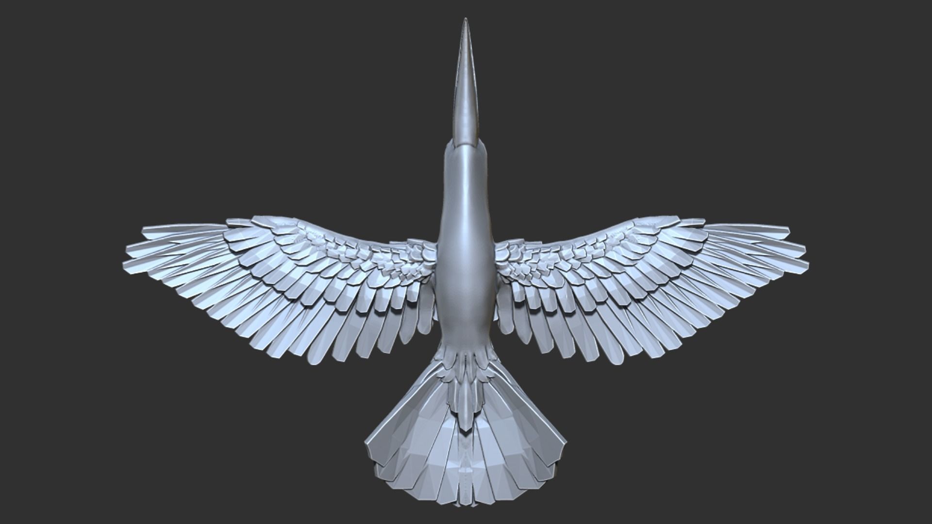 Toucan 3D print model_3