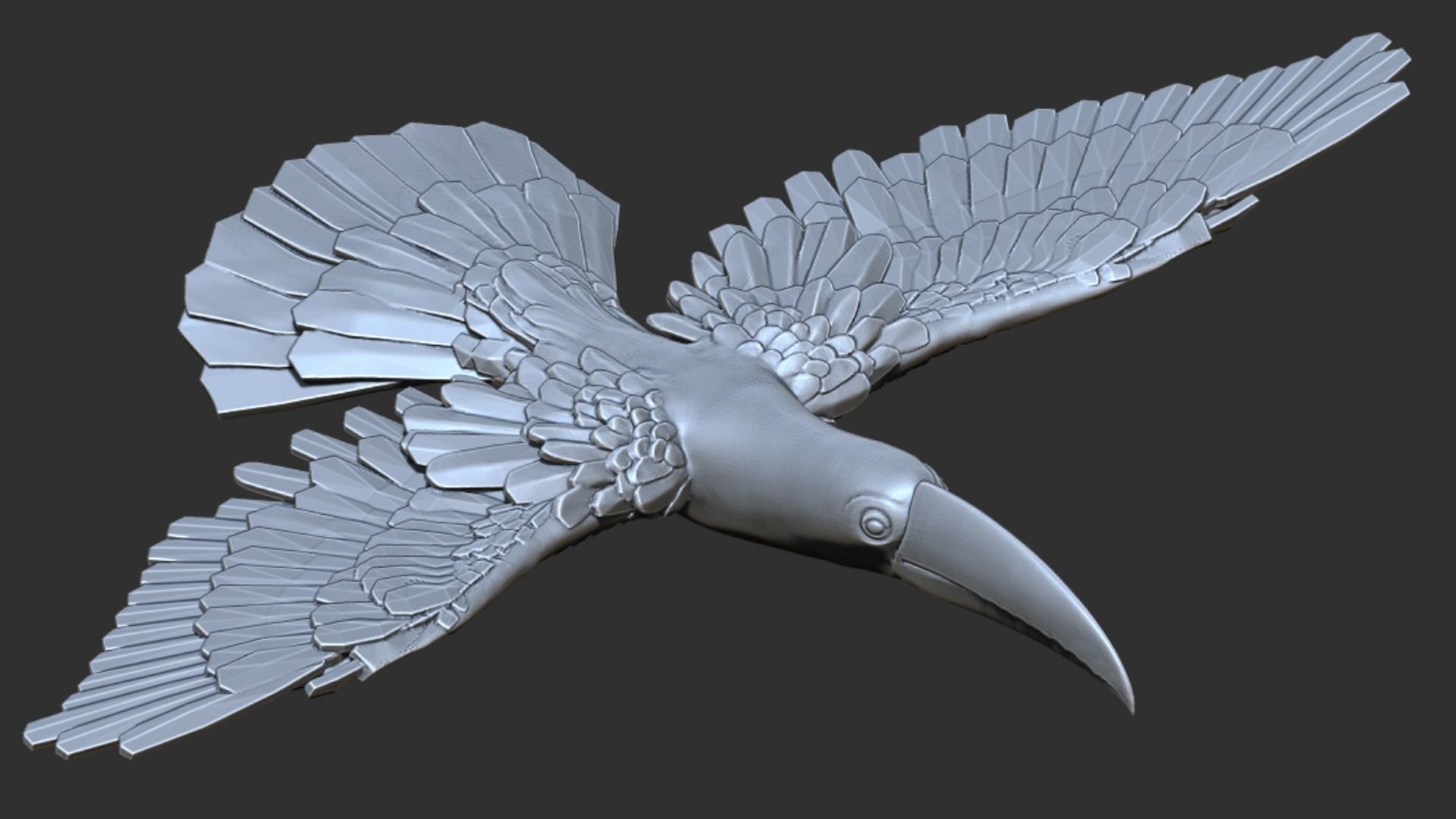 Toucan 3D print model_5