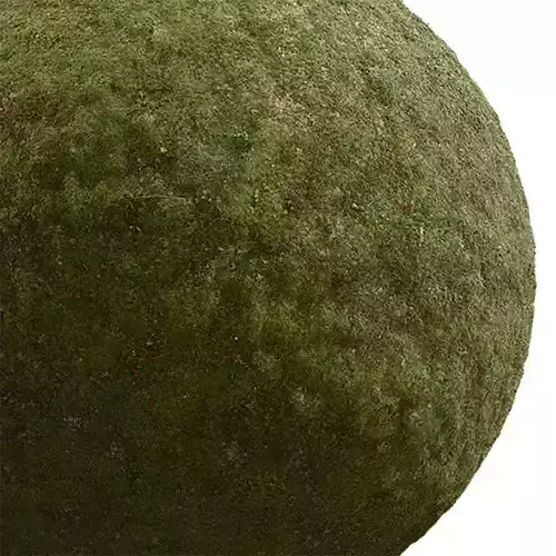 Ground Seamless Texture 2K - EXR 5 - JPG 5 Texture