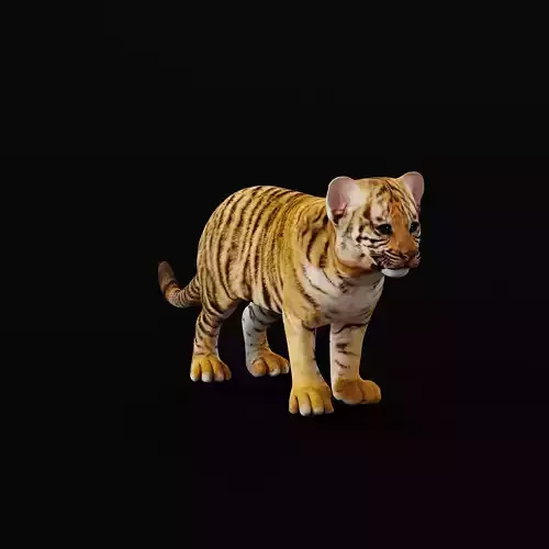 Tiger Cub Mammal Low-poly 3D model