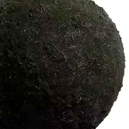 Ground Seamless Texture 2K - EXR 5 - JPG 5 Texture