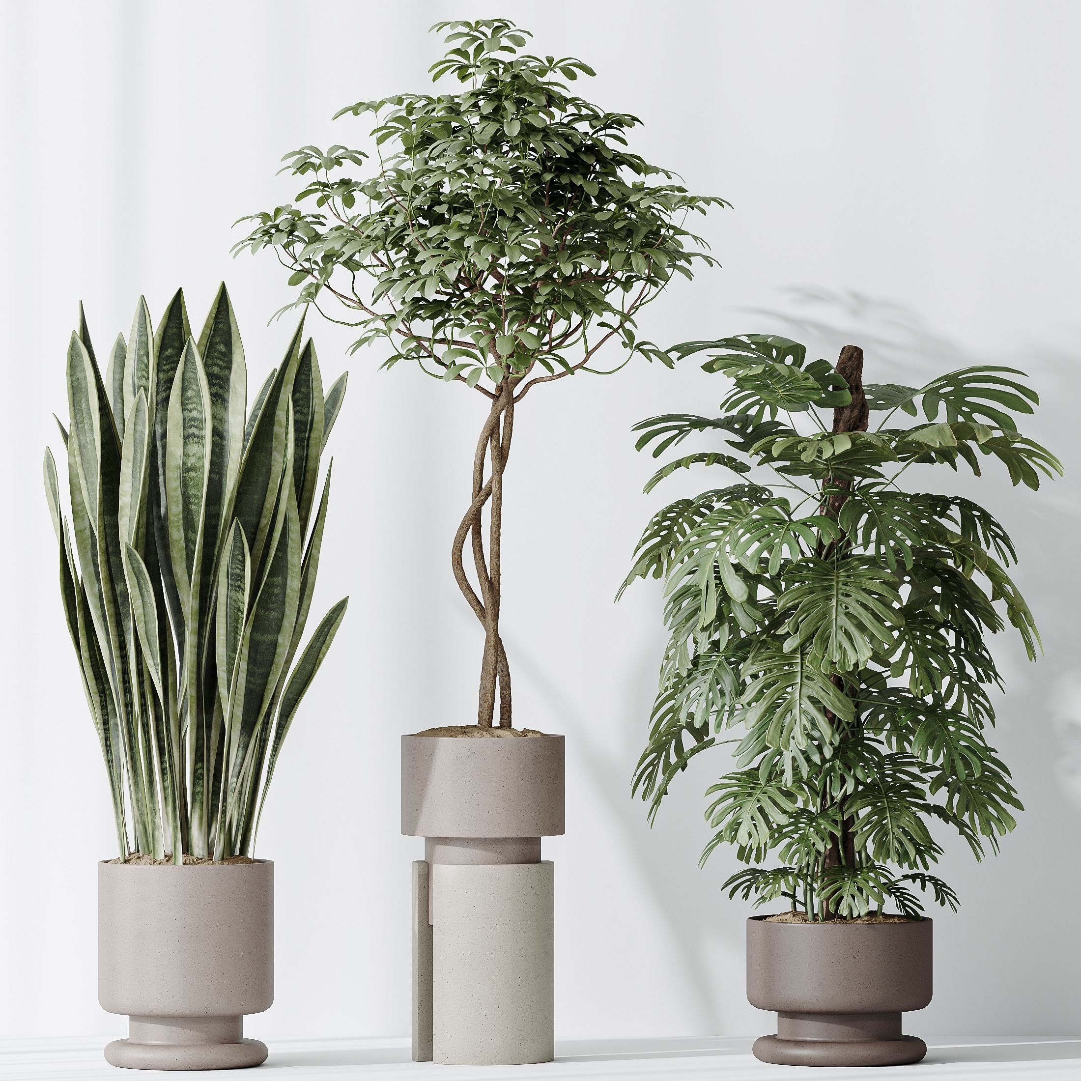 Indoor plant set 60 3D model_5