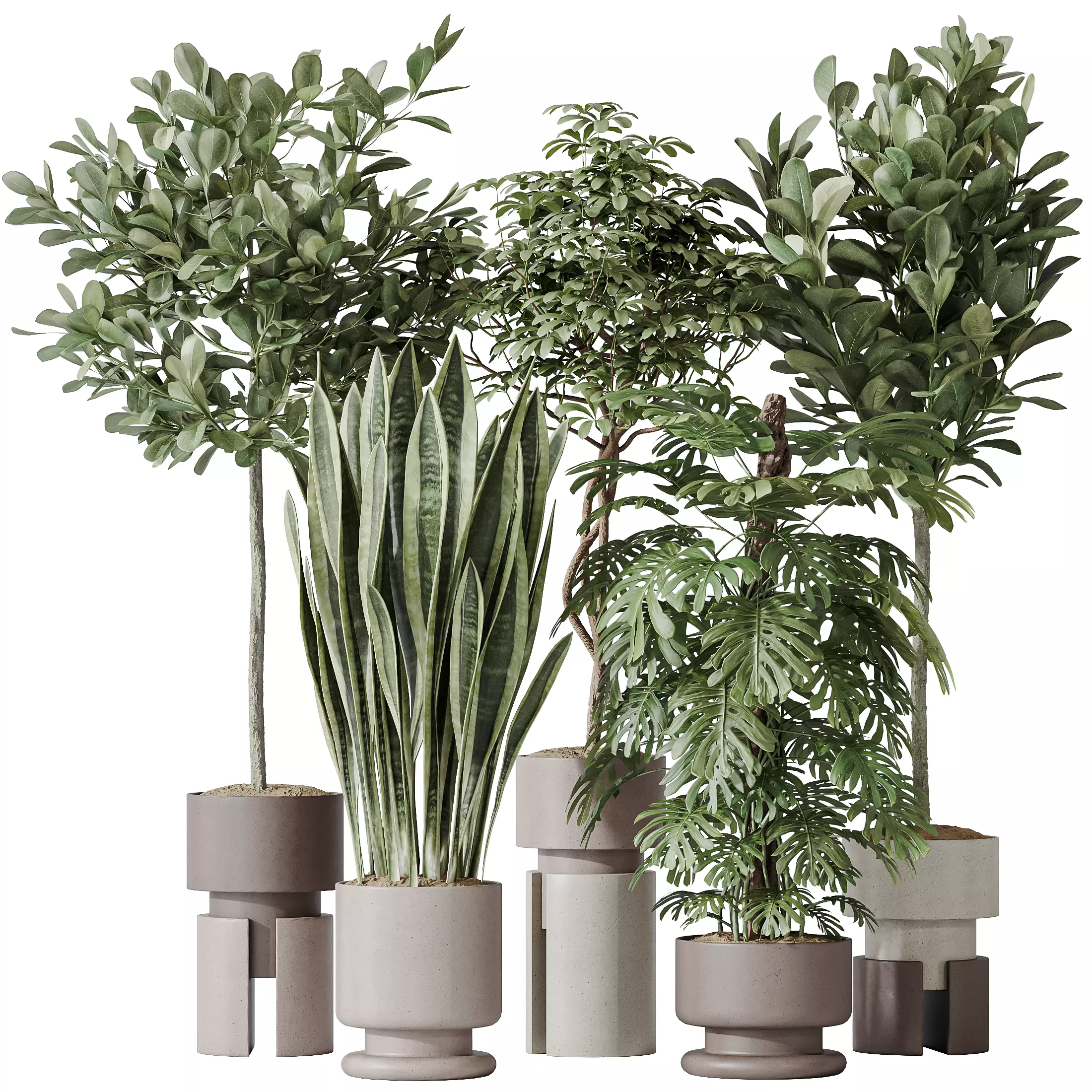 Indoor plant set 60 3D model_0