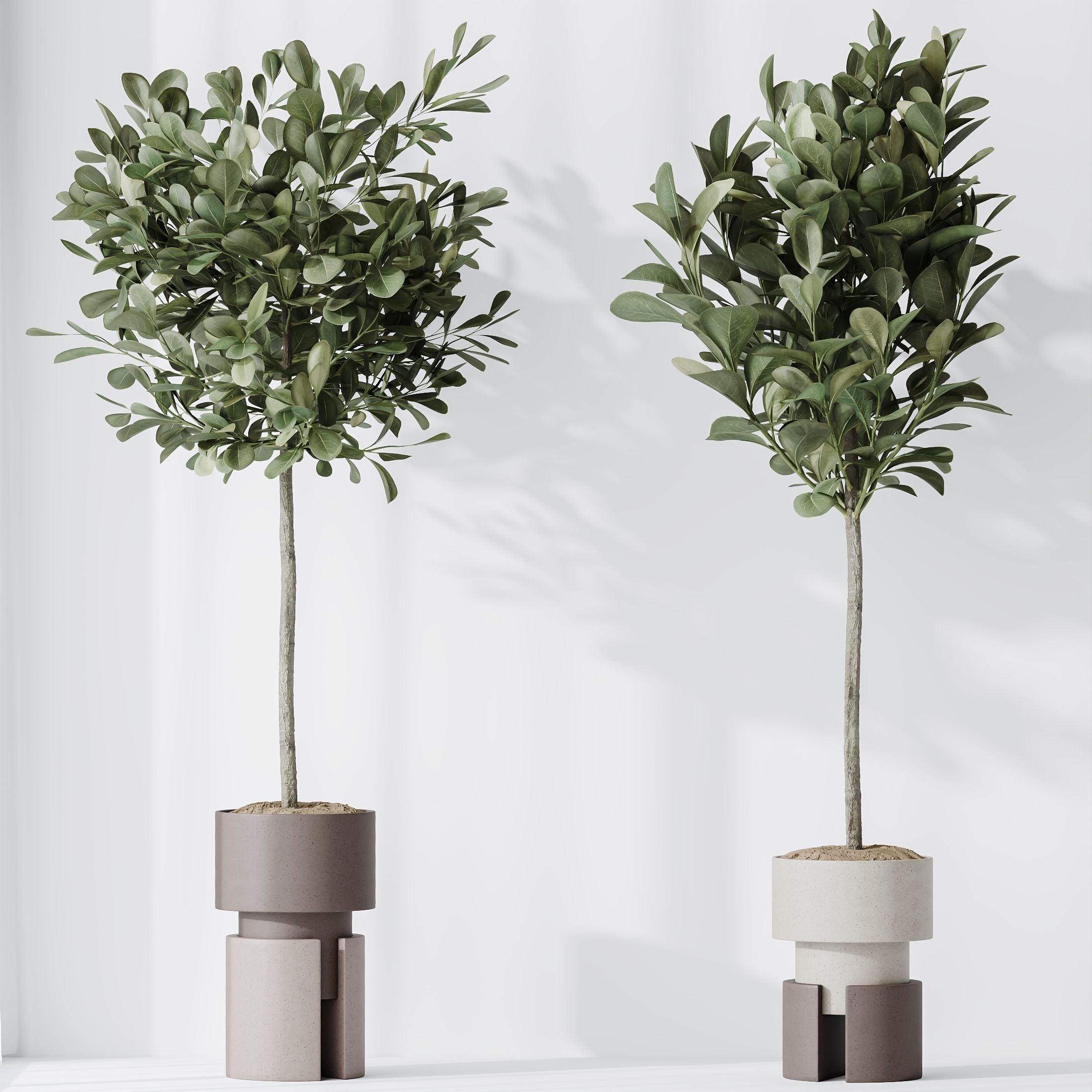 Indoor plant set 60 3D model_1