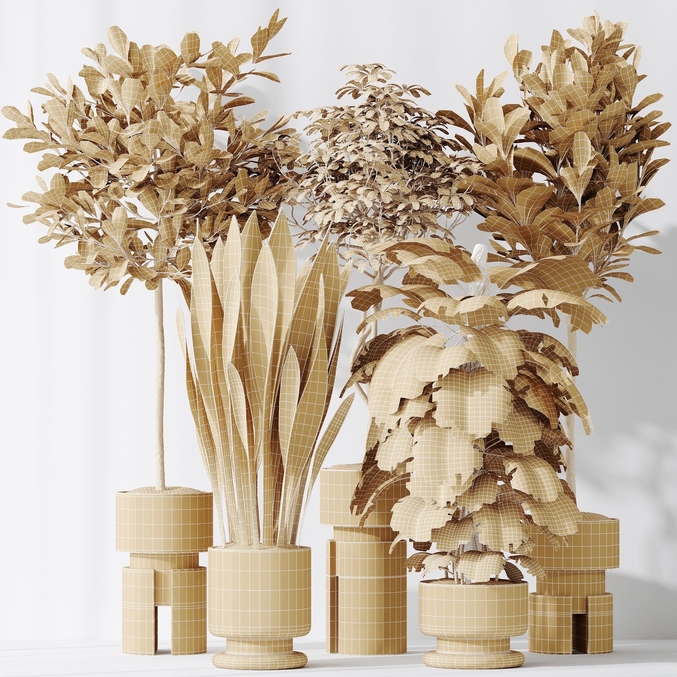 Indoor plant set 60 3D model_4