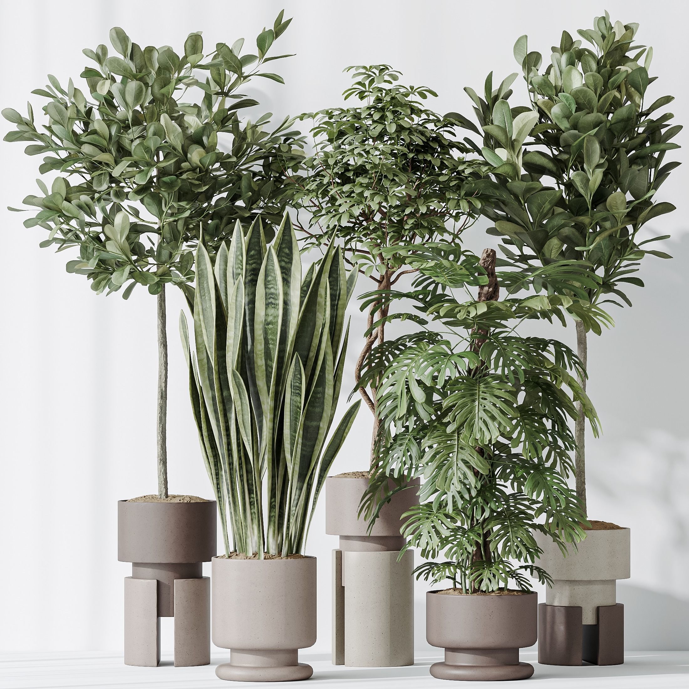 Indoor plant set 60 3D model_3