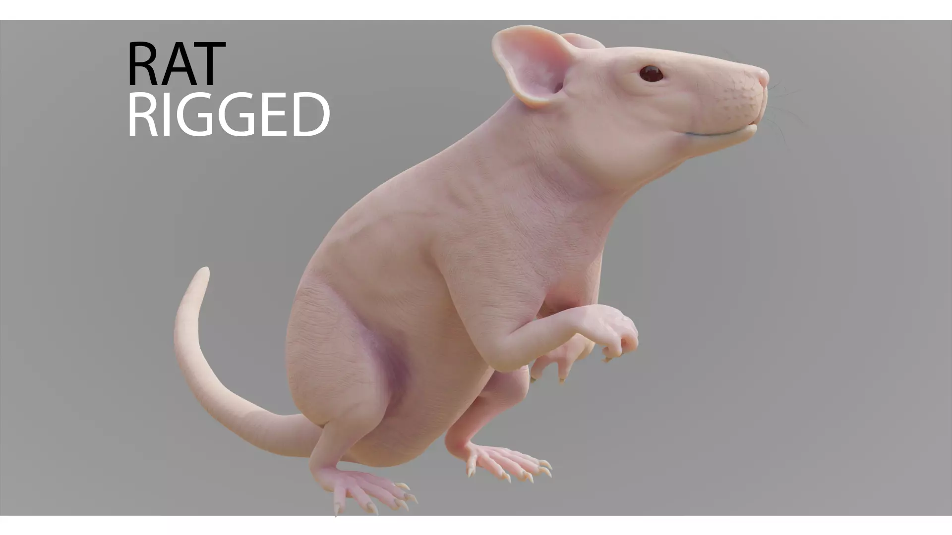 RET FOR VFX CGI 3D model_0