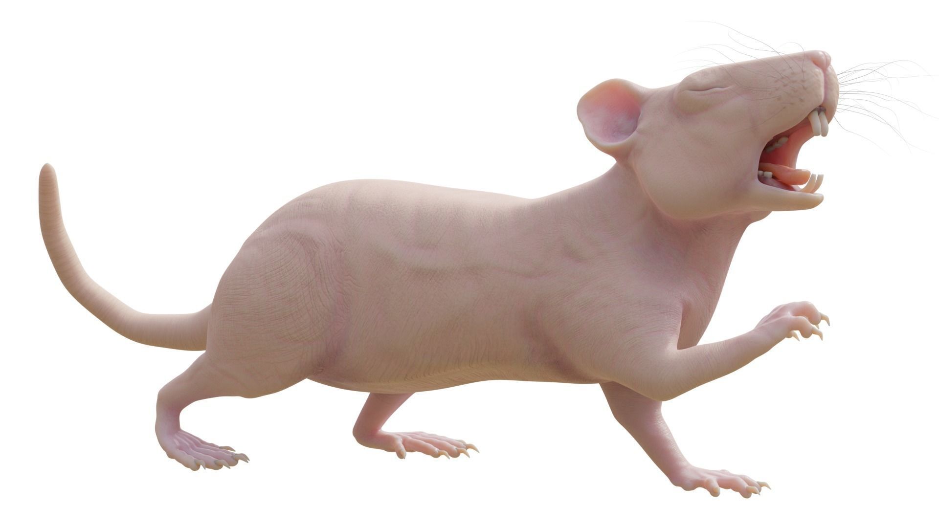 RET FOR VFX CGI 3D model_1