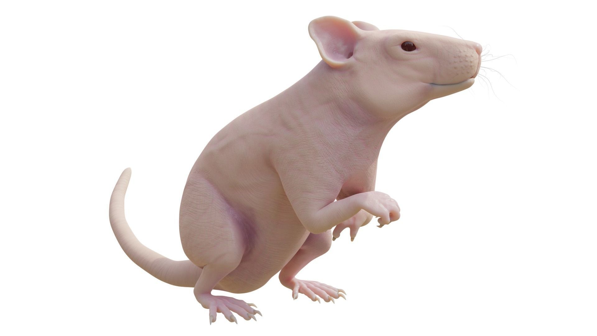 RET FOR VFX CGI 3D model_5