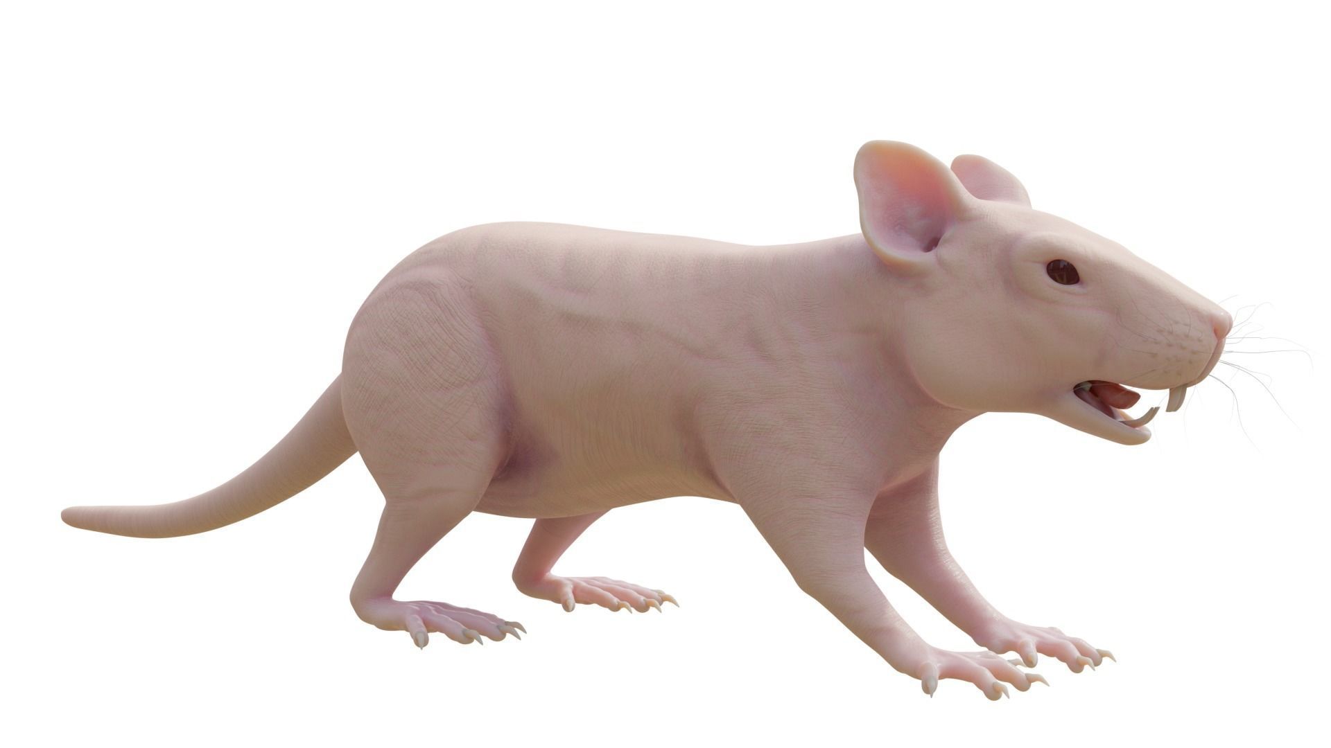 RET FOR VFX CGI 3D model_6