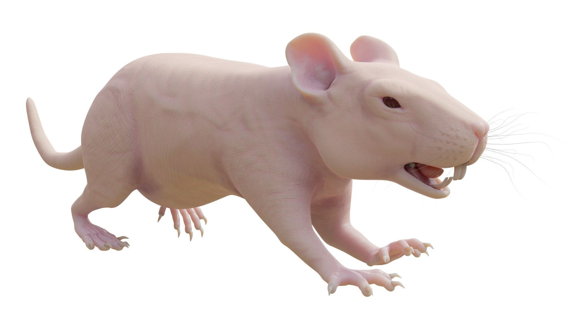 RET FOR VFX CGI 3D model_2