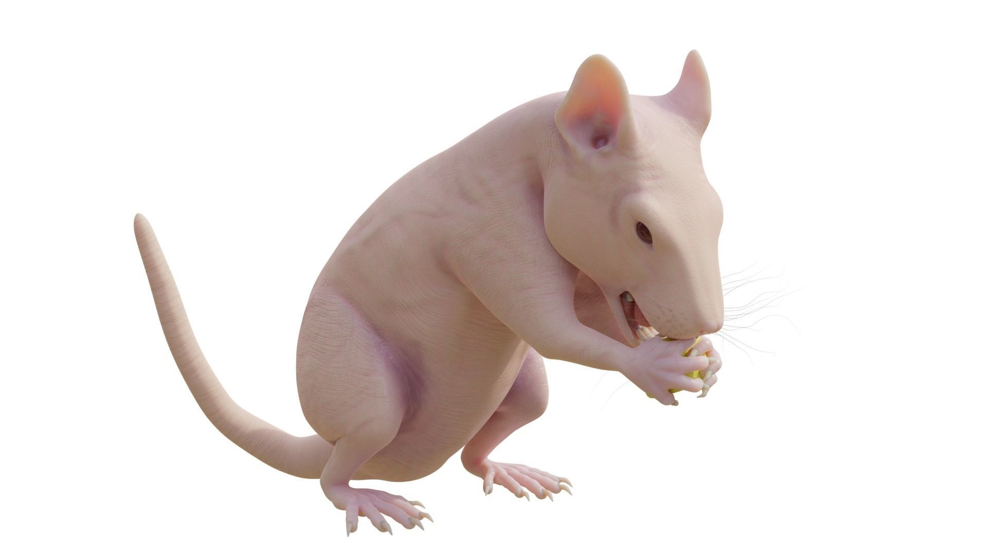 RET FOR VFX CGI 3D model_3