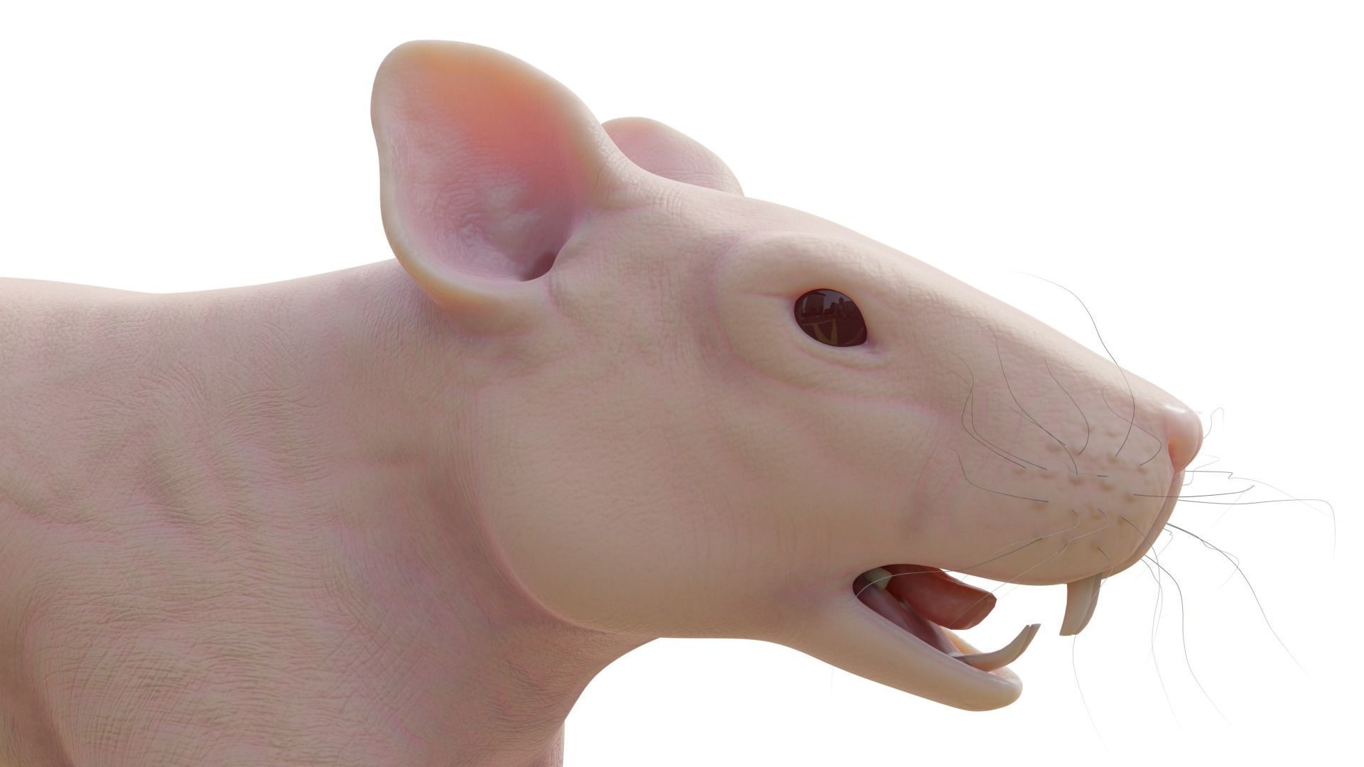 RET FOR VFX CGI 3D model_4