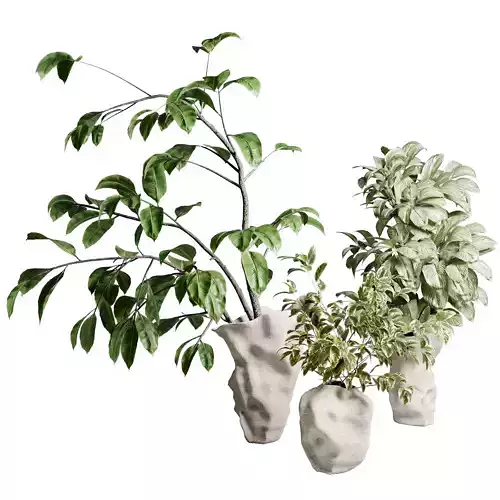 Branches plant in brown concrete dirty vase 49