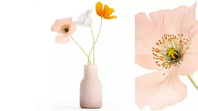 Small Bouquet Of Wildflowers Poppy In A Vase 406