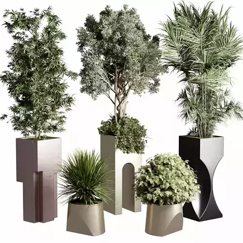 Indoor Plants in kristal - luxury of homes Pot 471 3D model