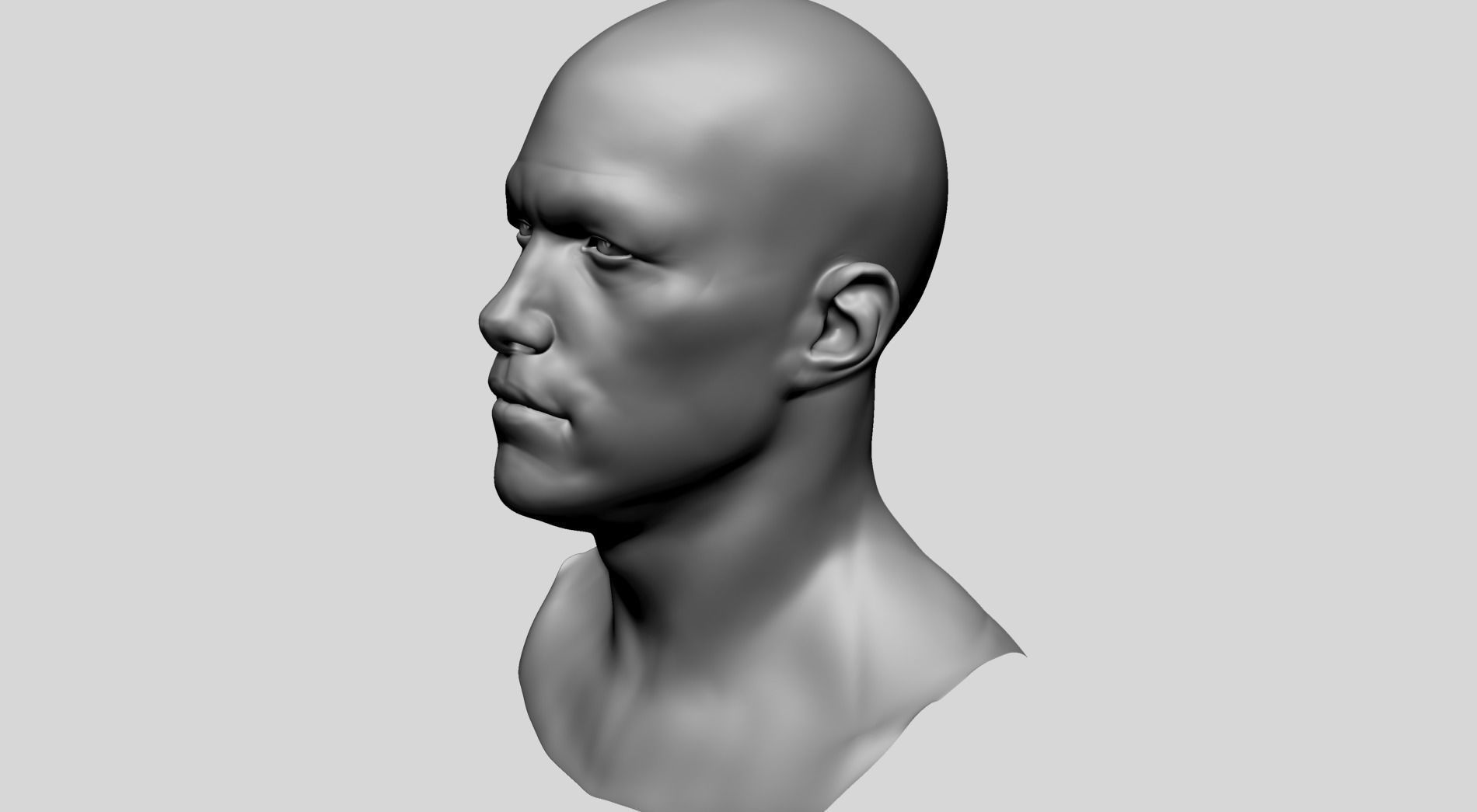 Male Head Basemesh E 3D model_7