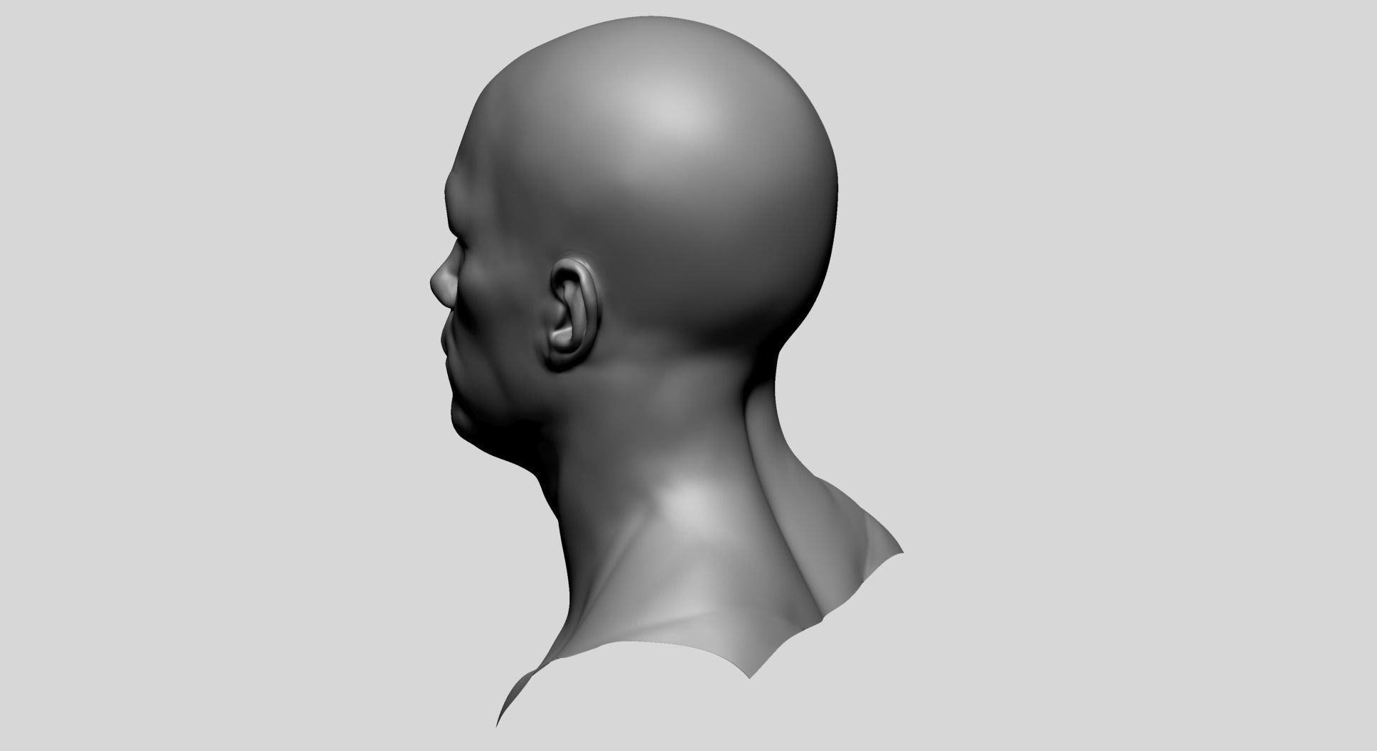 Male Head Basemesh E 3D model_6