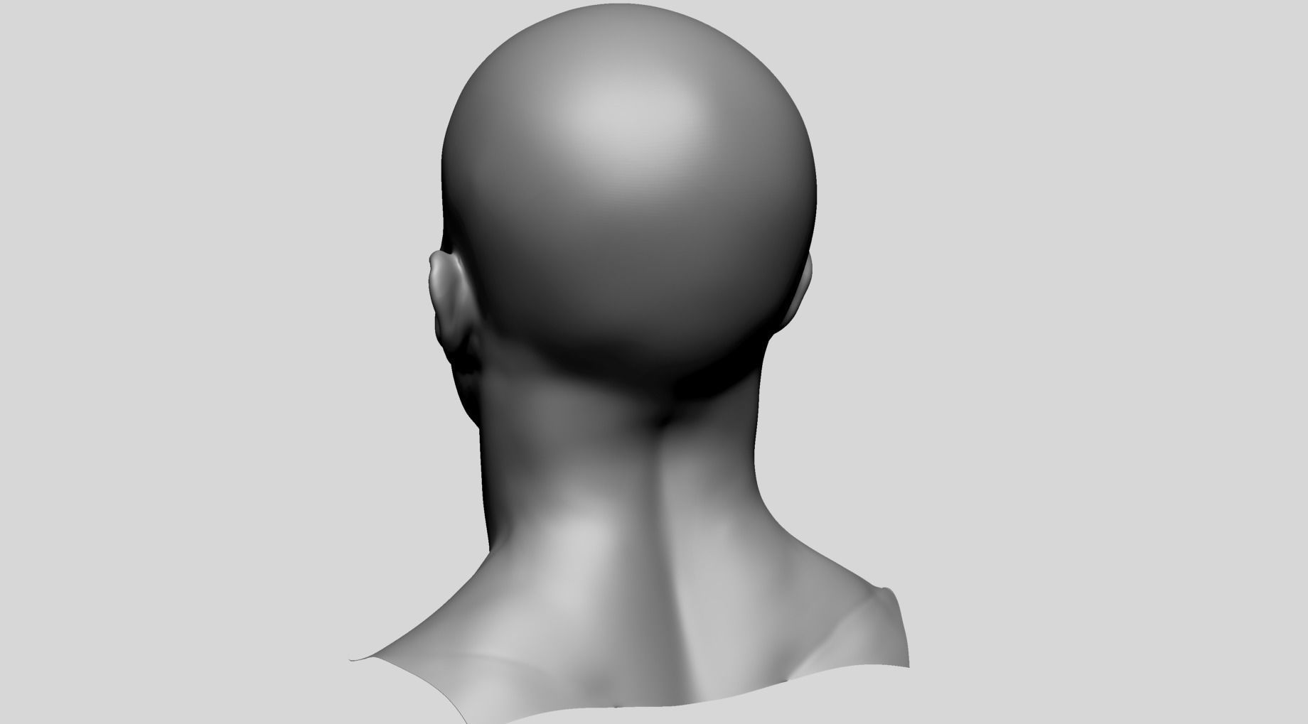 Male Head Basemesh E 3D model_5