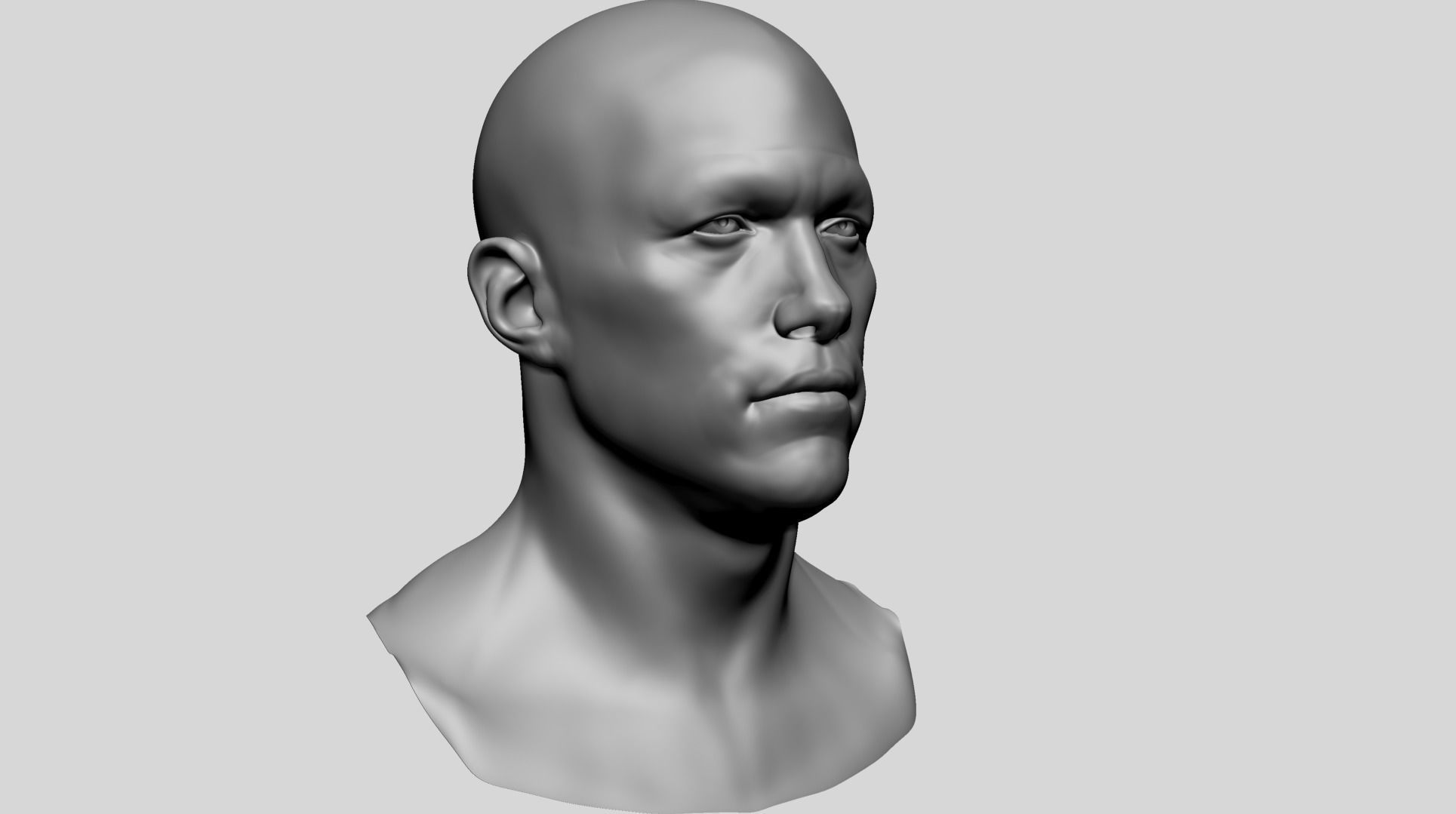 Male Head Basemesh E 3D model_3
