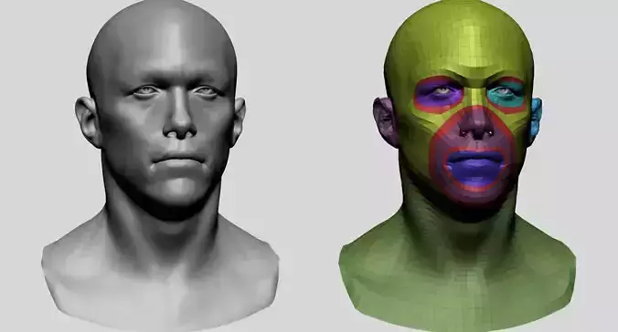 Male Head Basemesh E 3D model Male Head Basemesh E 3D model