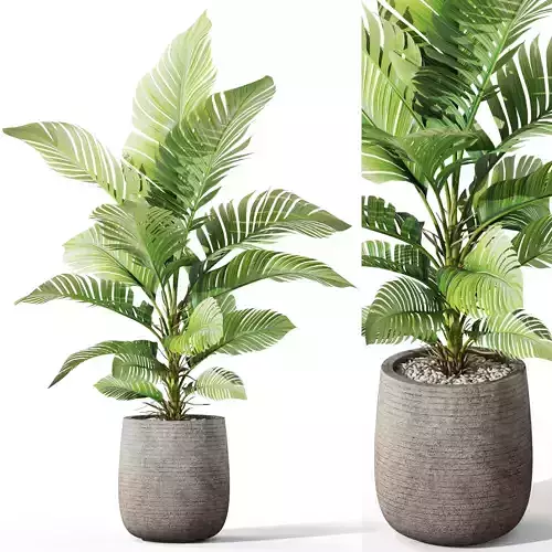 Plants collection 1064