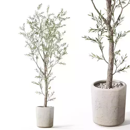 Plants collection 1066