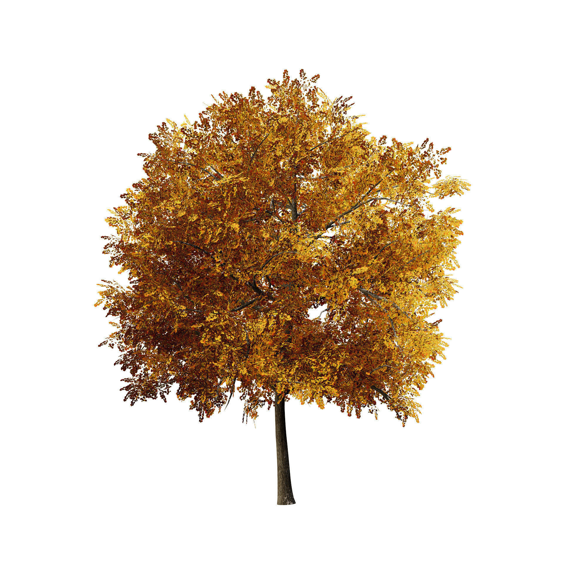 Low Poly Plane Tree Variety Pack with free tutorial Low-poly 3D model_9