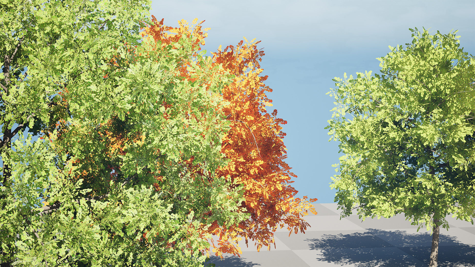 Low Poly Plane Tree Variety Pack with free tutorial Low-poly 3D model_4