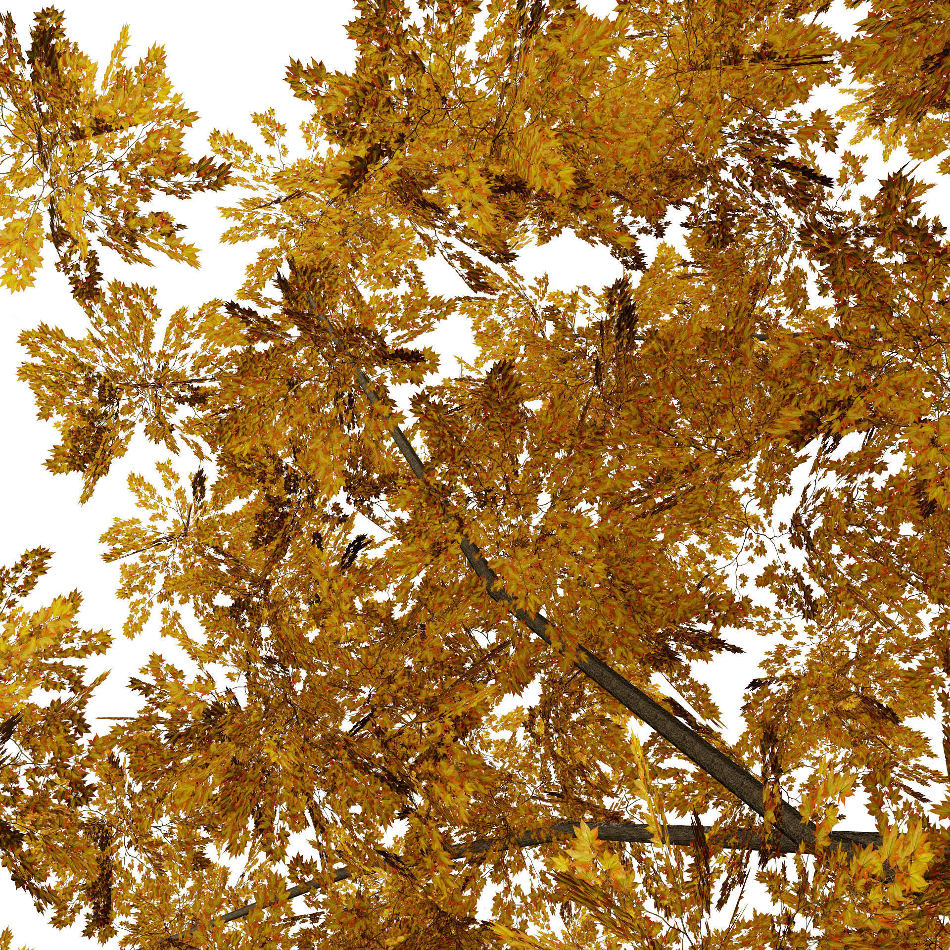 Low Poly Plane Tree Variety Pack with free tutorial Low-poly 3D model_11