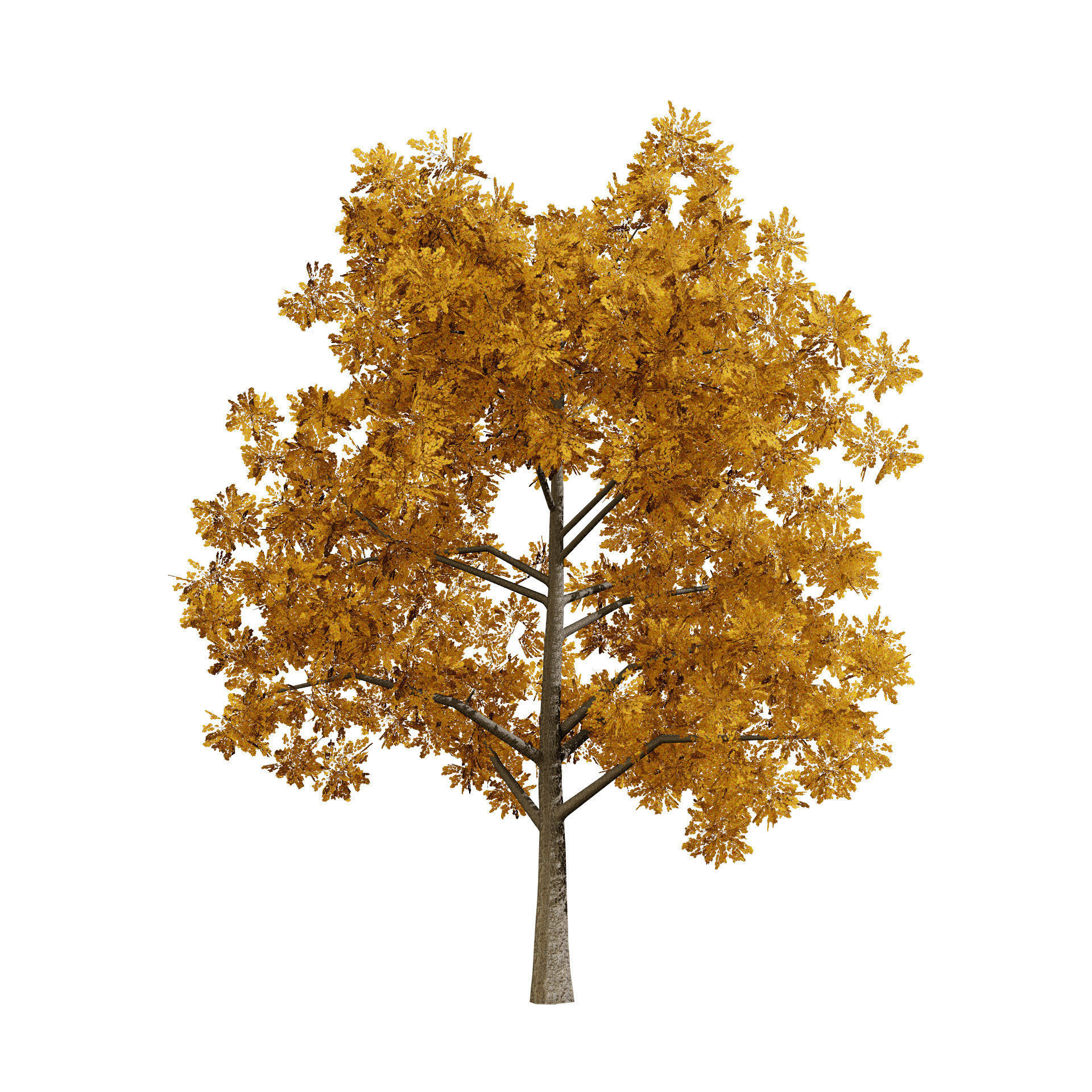 Low Poly Plane Tree Variety Pack with free tutorial Low-poly 3D model_10