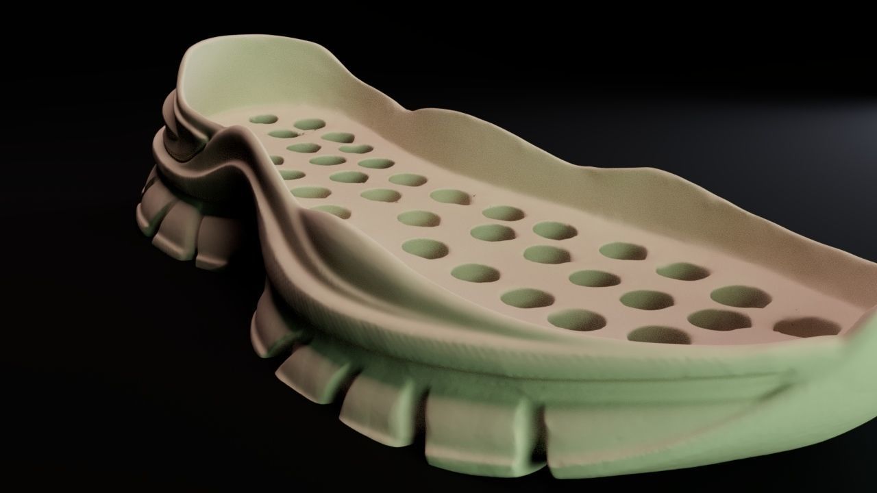 shoe under 3D print model_5