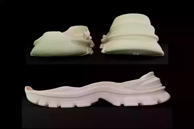 shoe under 3D print model