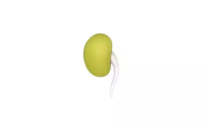 Prop37 Green Bean Sprout Low-poly 3D model