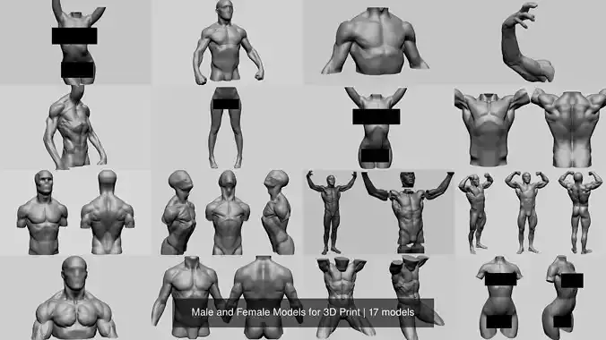 Male and Female Models for 3D Print 3D Model Collection