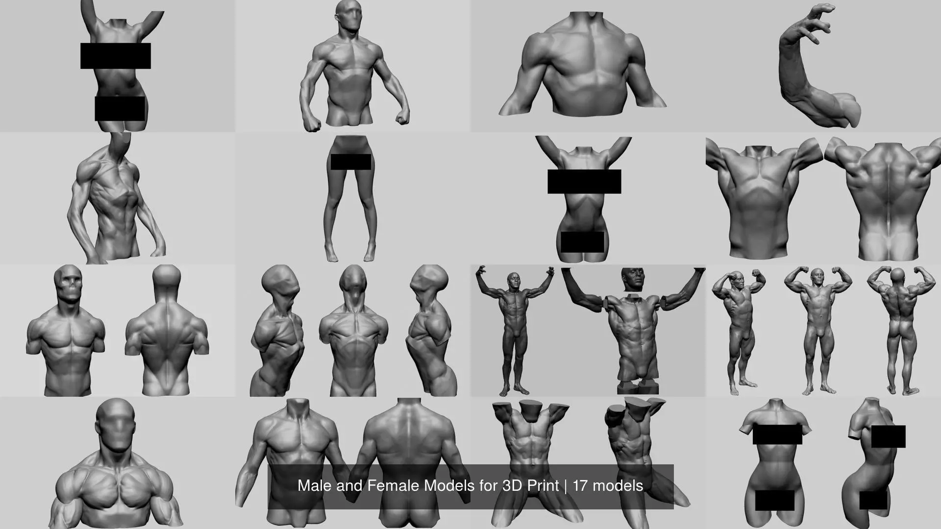 Male and Female Models for 3D Print 3D Model Collection_0