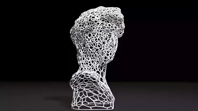 Bust of David 3D print model