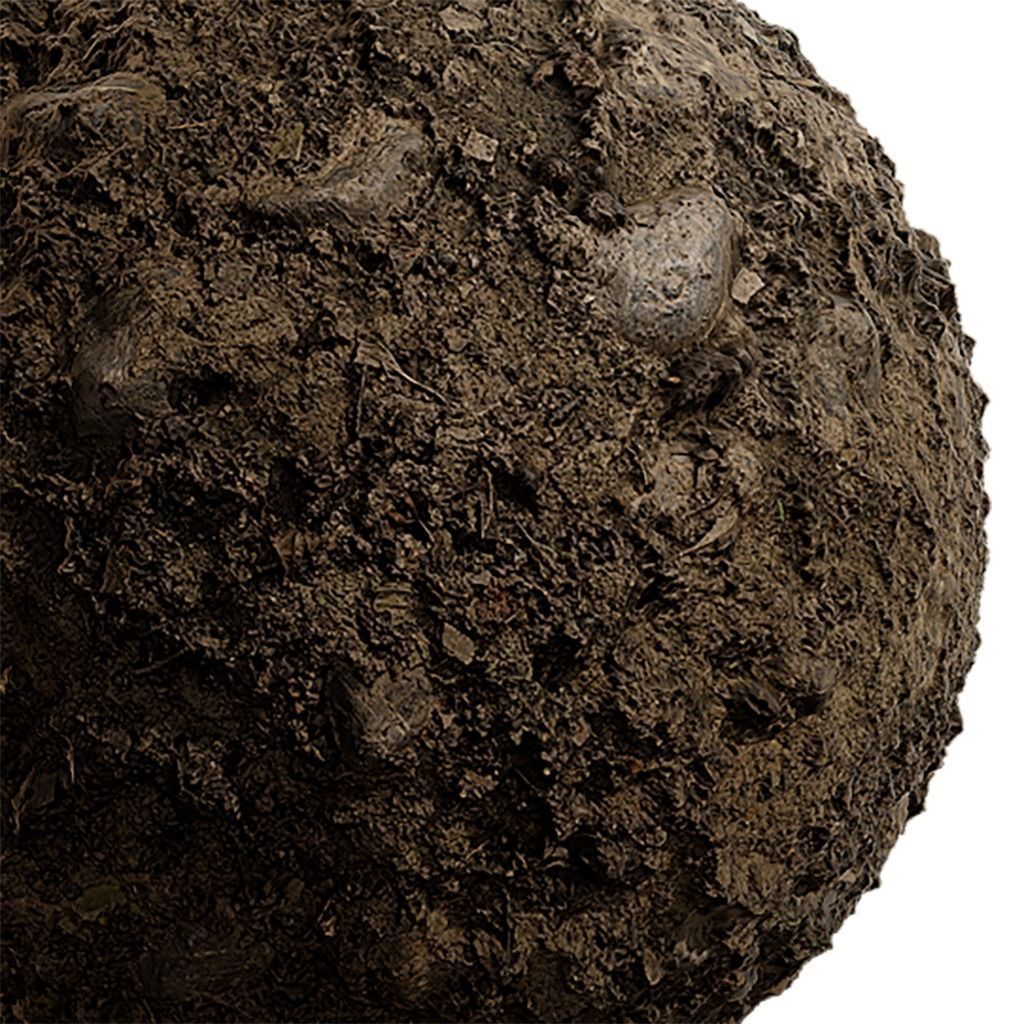 Ground Seamless Texture 2K - EXR 5 - JPG 5 Texture Texture_4