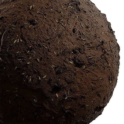 Ground Seamless Texture 2K - EXR 5 - JPG 5 Texture Texture