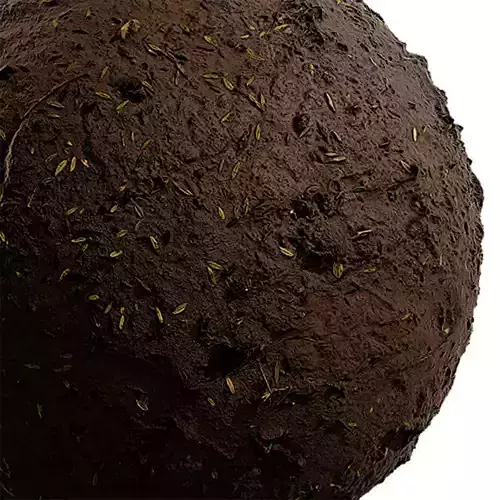 Ground Seamless Texture 2K - EXR 5 - JPG 5 Texture