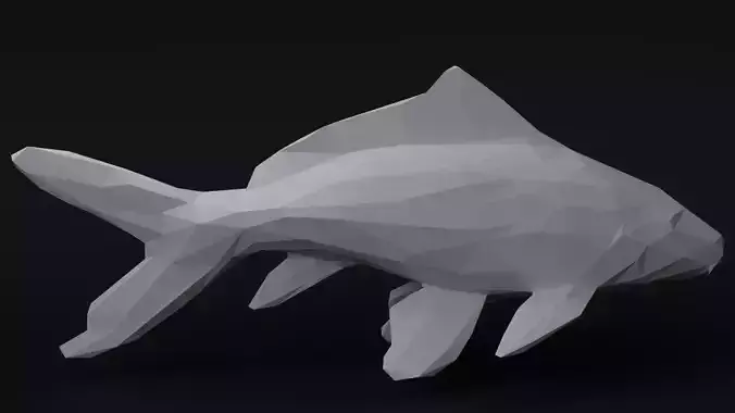 Low poly Koi fish Nishikigoi