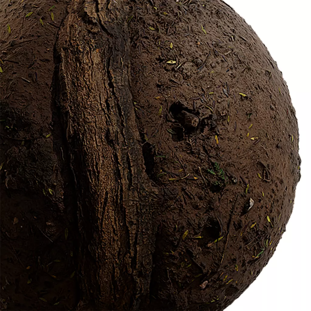 Ground Seamless Texture 2K - EXR 5 - JPG 5 Texture Texture_0