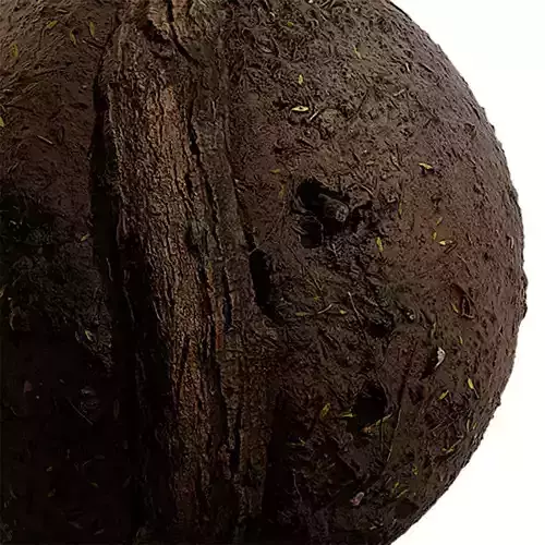 Ground Seamless Texture 2K - EXR 5 - JPG 5 Texture