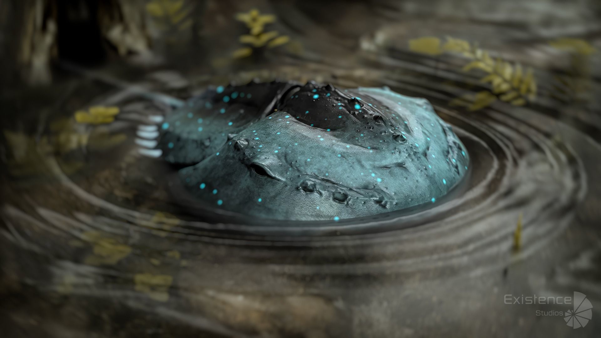 Ocean Monster Fish Pack 3 - Predator - Underwater Creatures - 38 3D Model Collection_28