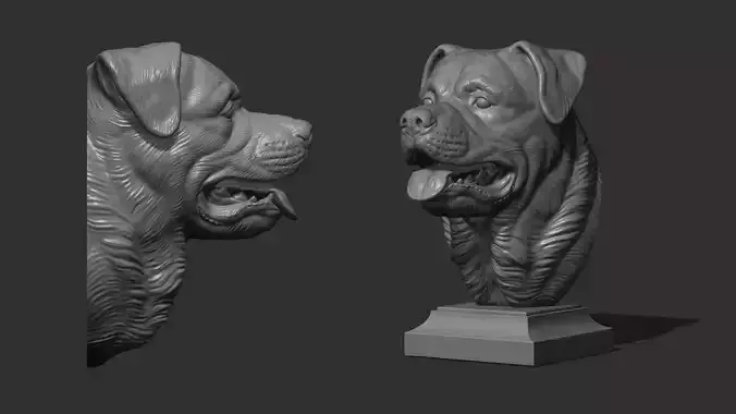 Rottweiler gloomy bust