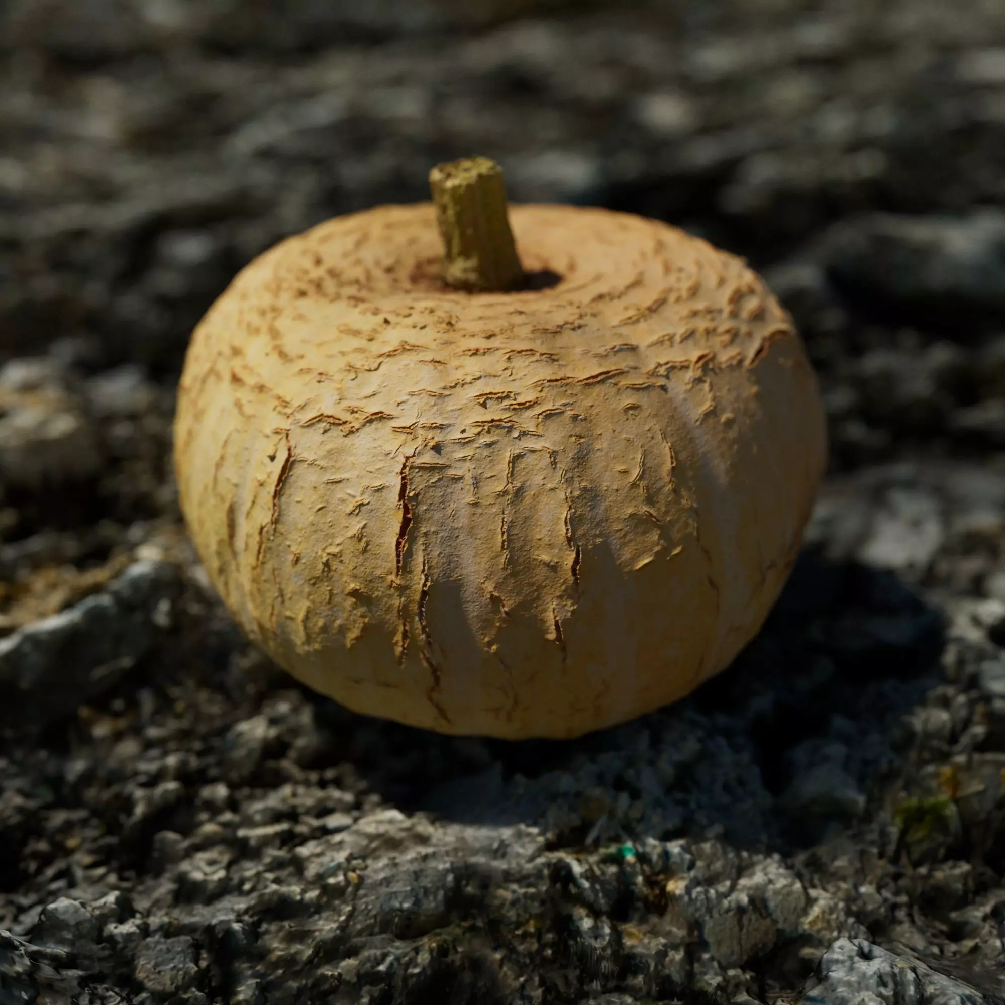 large pumpkin with a cracked surface - Photoscan Low-poly 3D model