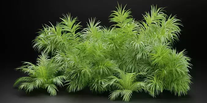 Plants collection vol 237-Blender 3D model