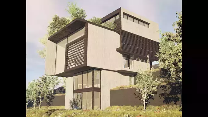 Sloped Terrain House