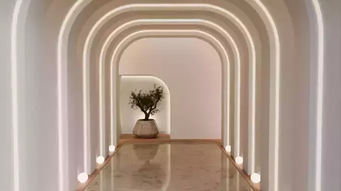 Minimalistic elegant luxury hallway design